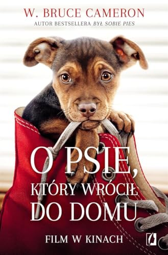 Imagen de archivo de O psie ktory wrocil do domu a la venta por WorldofBooks