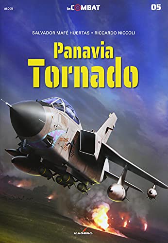 Beispielbild fr Panavia Tornado (In Combat) zum Verkauf von WorldofBooks