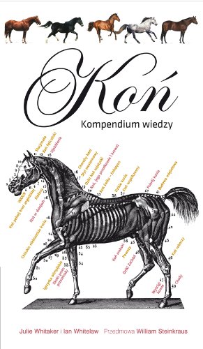 Stock image for Kon Kompendium wiedzy for sale by Pearlydewdrops