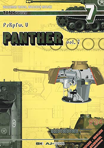 Imagen de archivo de Panther (Vol.7) a la venta por HPB-Diamond