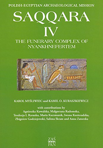 Imagen de archivo de The Funerary Complex of Nyankhnefertem a la venta por Kennys Bookshop and Art Galleries Ltd.
