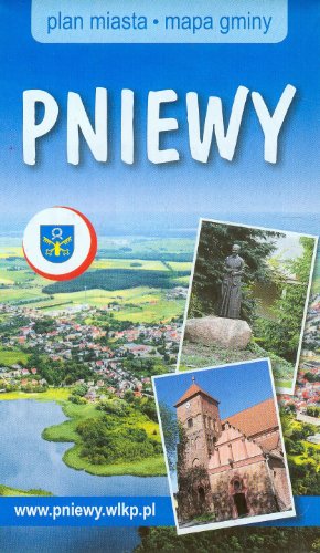 9788376181394: Pniewy plan miasta