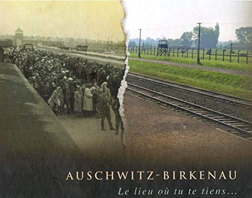 Stock image for Auschwitz-Birkenau, le lieu o tu te tiens for sale by AUSONE