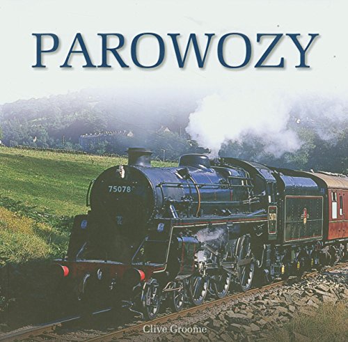 Imagen de archivo de Parowozy a la venta por medimops