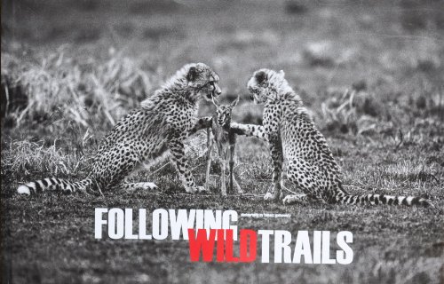 Stock image for Following Wild Trails for sale by Stephen Bulger Gallery