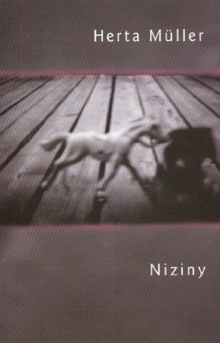 Stock image for Niziny for sale by Polish Bookstore in Ottawa