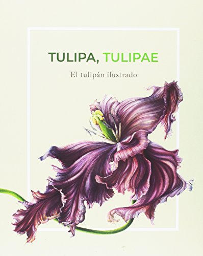 Imagen de archivo de TULIPA, TULIPAE: EL TULIPN ILUSTRADO a la venta por KALAMO LIBROS, S.L.