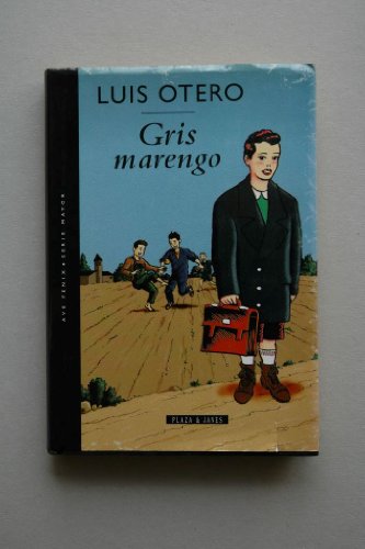 Stock image for Gris marengo (Milenio) for sale by medimops