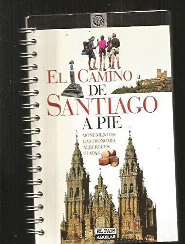 Stock image for Camino Santiago a Pie for sale by Hamelyn