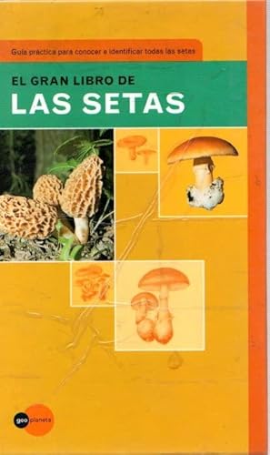 9788408027478: El gran libro de las setas