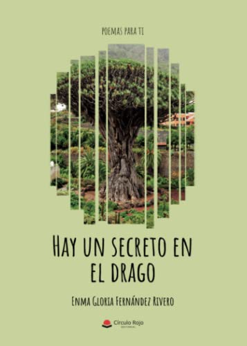 Stock image for Hay un secreto en el drago for sale by Agapea Libros