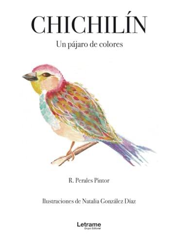 Stock image for CHICHILN: Un pjaro de colores (Spanish Edition) for sale by Books Unplugged