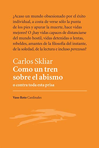 Stock image for COMO UN TREN SOBRE EL ABISMO for sale by KALAMO LIBROS, S.L.