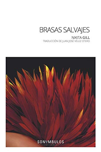 Imagen de archivo de BRASAS SALVAJES a la venta por KALAMO LIBROS, S.L.