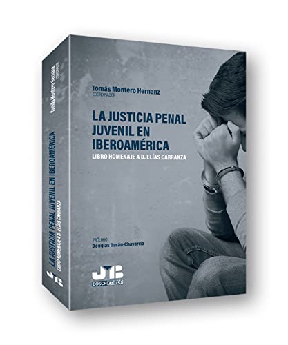 Stock image for la justicia penal juvenil en iberoamerica for sale by LibreriaElcosteo
