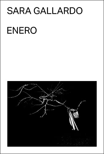 9788412315677: Enero (SIN COLECCION)