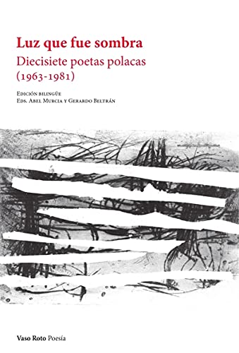 Imagen de archivo de LUZ QUE FUE SOMBRA: DIECISIETE POETAS POLACAS (1963-1981) a la venta por KALAMO LIBROS, S.L.