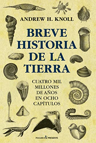 Stock image for BREVE HISTORIA DE LA TIERRA for sale by Siglo Actual libros