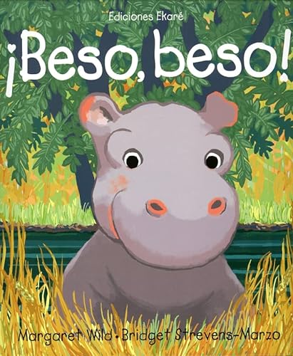 Stock image for Beso, Beso  for sale by Agapea Libros