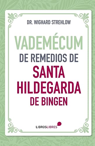 Imagen de archivo de VADEMECUM DE REMEDIOS DE SANTA HILDEGARDA DE BINGEN a la venta por Antrtica