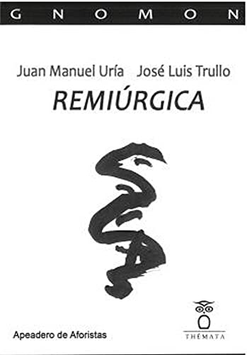 Stock image for REMIRGICA for sale by Siglo Actual libros