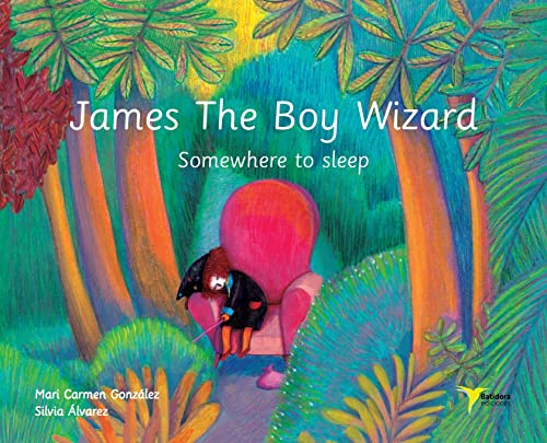 Beispielbild fr James The Boy Wizard: Somewhere to sleep zum Verkauf von Lucky's Textbooks