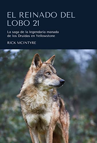 9788412566321: El Reinado del Lobo 21: La saga de la legendaria manada de los Druidas en Yellowstone