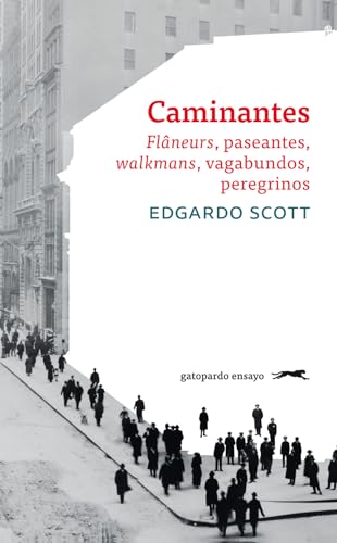 Imagen de archivo de CAMINANTES a la venta por Siglo Actual libros