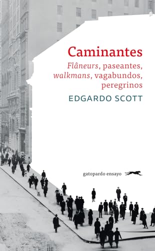 Stock image for CAMINANTES: Flneurs, paseantes, walkmans, vagabundos, peregrinos for sale by KALAMO LIBROS, S.L.
