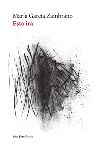 Stock image for ESTA IRA for sale by KALAMO LIBROS, S.L.