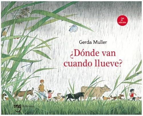 Stock image for Dnde van cuando llueve? for sale by Big River Books