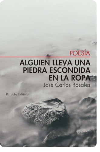 Imagen de archivo de ALGUIEN LLEVA UNA PIEDRA ESCONDIDA EN LA ROPA a la venta por KALAMO LIBROS, S.L.