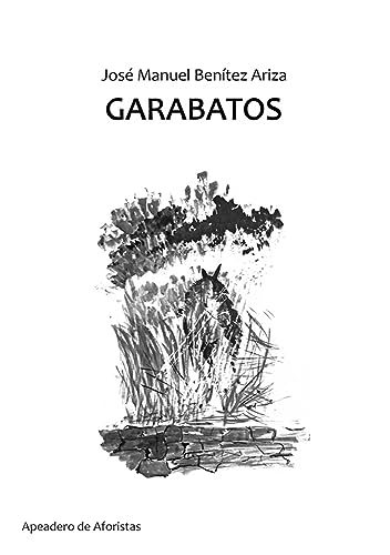 Imagen de archivo de GARABATOS. a la venta por KALAMO LIBROS, S.L.