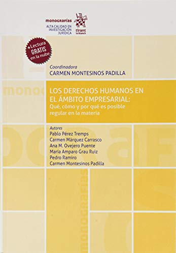9788413368535: Los Derechos Humanos En El mbito Empresarial: qu, cmo y Por Qu Es Posible regular en La Materia (Monografas)