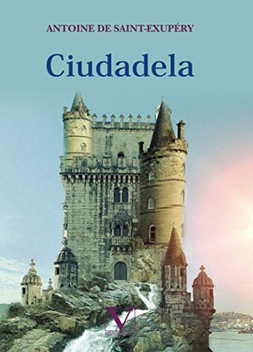 9788413373249: Ciudadela: 1 (Narrativa)