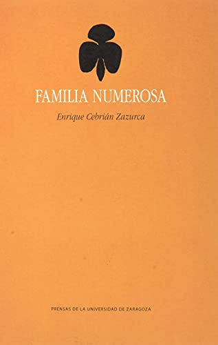 Stock image for FAMILIA NUMEROSA. for sale by KALAMO LIBROS, S.L.