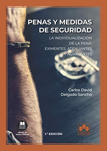 Stock image for Penas y medidas de seguridad for sale by AG Library