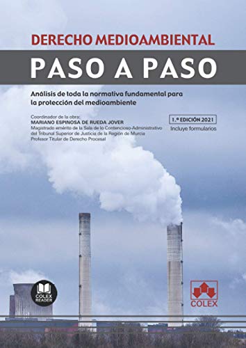 Stock image for Derecho medioambiental. Paso a paso for sale by AG Library