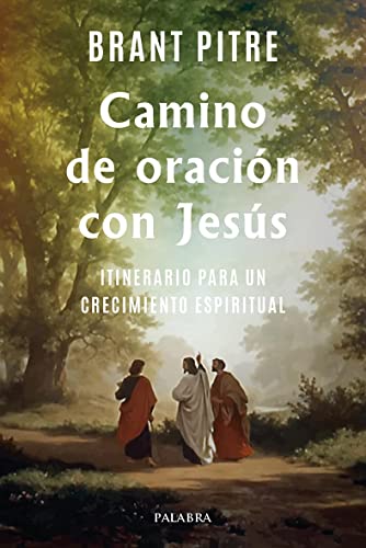 Stock image for CAMINO DE ORACION CON JESUS. ITINERARIO PARA UN CRECIMIENTO ESPIRITUAL for sale by KALAMO LIBROS, S.L.
