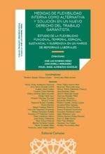 Imagen de archivo de MEDIDAS DE FLEXIBILIDAD INTERNA COMO ALTERNATIVA Y SOLUCIN EN UN NUEVO DERECHO DE TRABAJO GARANTISTA. ESTUDIO DE LA FLEXIBILIDAD FUNCIONAL,TEMPORAL, ESPACIAL, SUSTANCIAL Y SUSPENSIVA EN UN MARCO DE REFORMAS LABORALES a la venta por KALAMO LIBROS, S.L.