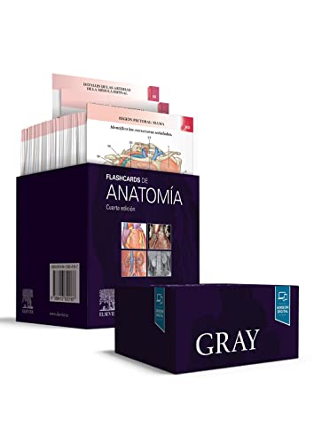 Stock image for Gray. Flashcards de Anatoma for sale by Agapea Libros