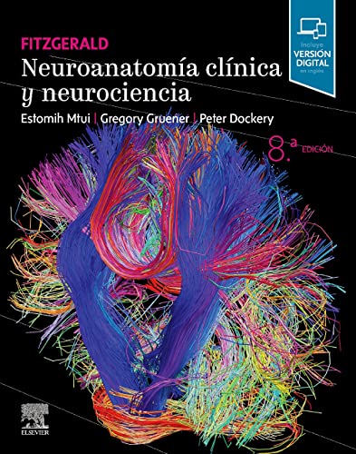 Stock image for Fitzgerald. Neuroanatoma clnica y neurociencia + StudentConsult for sale by Agapea Libros