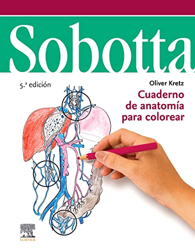 Stock image for SOBOTTA. CUADERNO DE ANATOMA PARA COLOREAR 5 ED for sale by Librerias Prometeo y Proteo
