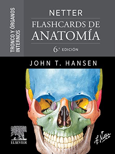 Stock image for NETTER FLASHCARDS DE ANATOMIA:TRONCO Y ORGANOS INTERNOS for sale by Antrtica