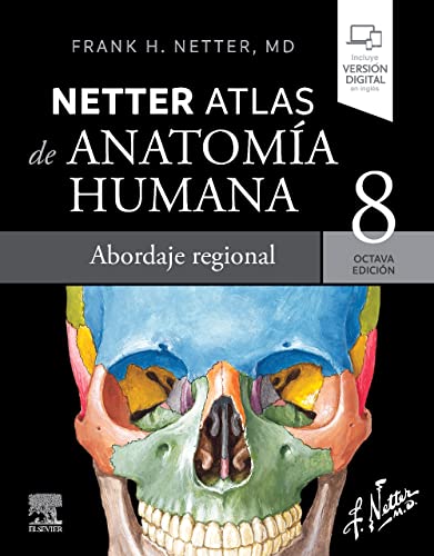 Imagen de archivo de ATLAS DE ANATOM  A HUMANA. ABORDAJE REGIONAL a la venta por Libreria El Dia