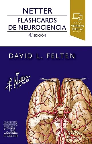 Stock image for NETTER FLASHCARDS DE NEUROCIENCIA 4 ED for sale by Antrtica