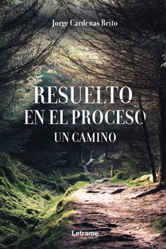 Imagen de archivo de Resuelto en el proceso. Un camino (Spanish Edition) a la venta por Big River Books