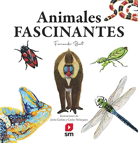 Imagen de archivo de ANIMALES FASCINANTES a la venta por Antrtica