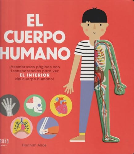Stock image for El cuerpo humano (IDEAKA) for sale by medimops