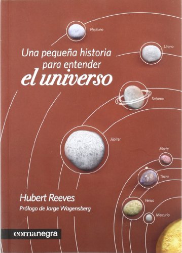 Imagen de archivo de Una pequea historia para entender el universo a la venta por medimops